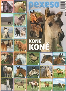 Pexeso Koně