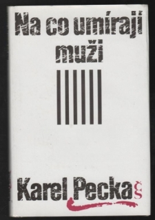 Na co umírají muži kniha